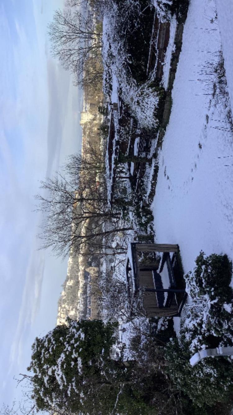 Aussichtszimmer Mit Modernem Glasbad Und Balkon Koblenz  Dış mekan fotoğraf