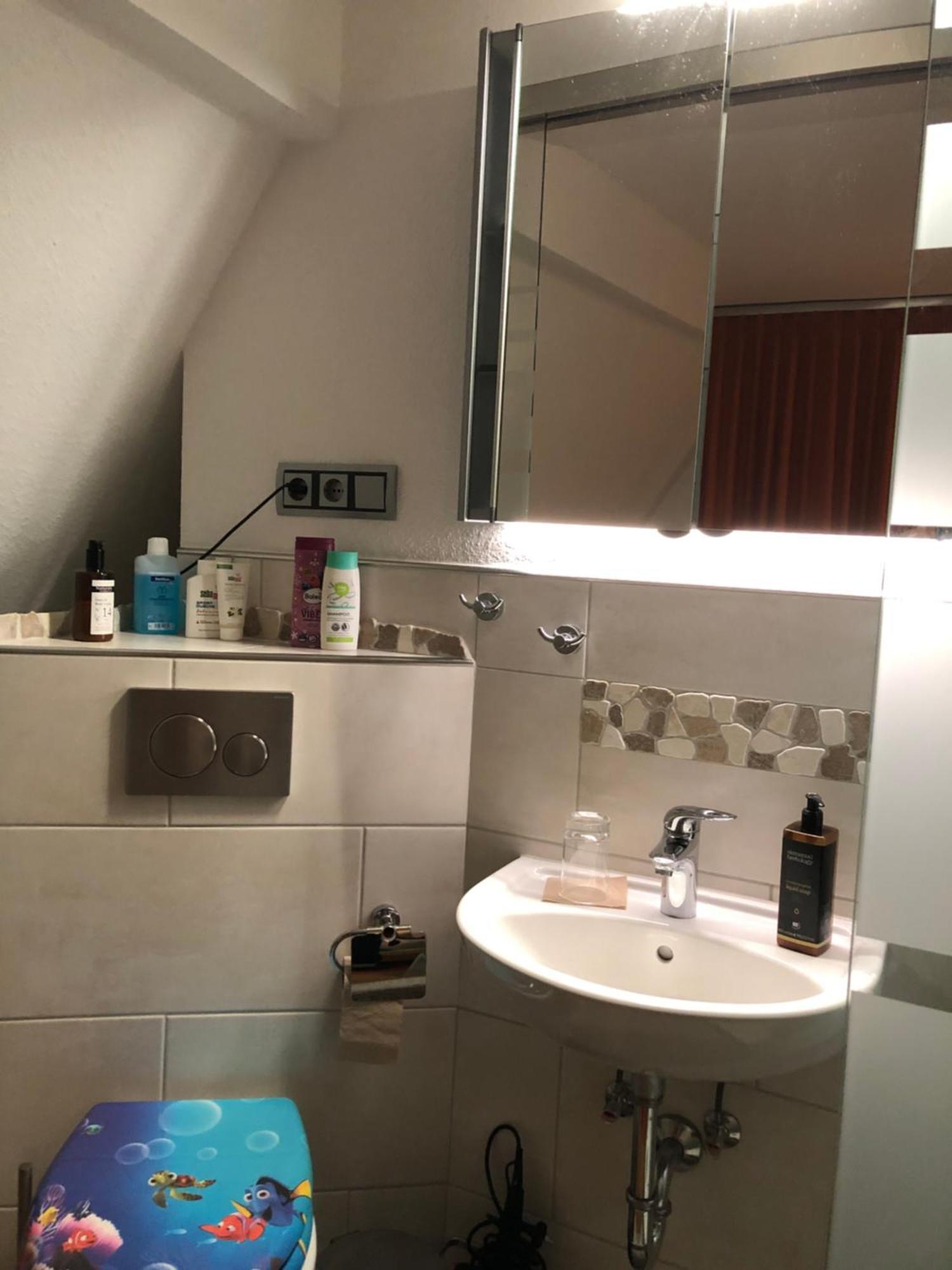 Aussichtszimmer Mit Modernem Glasbad Und Balkon Koblenz  Dış mekan fotoğraf